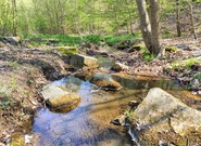 Evropské regiony se spojily, aby chránily vodu. Součástí je i Jižní Morava