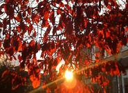 Očekávané události úterý 14. října 2025