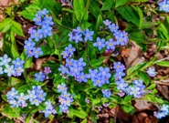 Očekávané události úterý 7. dubna 2026