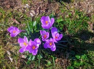 Očekávané události úterý 17. března 2026