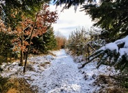 Očekávané události ve středu 7. ledna 2026