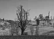 Novou křížovou cestu v Budkově požehná biskup Posád. Připomíná také ctihodné Bulu a Drbolu