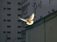 Očekávané události v pátek 13. března 2026