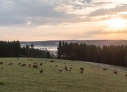 Očekávané události pátku 10. října 2025