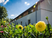 Očekávané události v pátek 29. srpna 2025