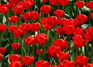 Očekávané události soboty 18. dubna 2026