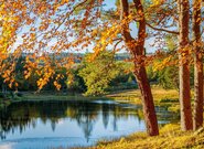 Očekáváné události středa 10. září 2025