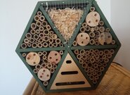 Biodiverzita - základní předpoklad pro fungování ekosystémů