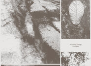 Hudební kompas – korejská hudebnice Park Jiha