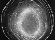 Křehkost a zranitelnost