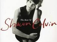 Čaj do páté: Shawn Colvin - melancholická dáma s kytarou 