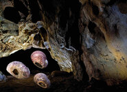 Kateřinská jeskyně stále vydává nové objevy, popsal speleolog. Zavedou nový prohlídkový okruh