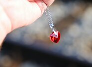 Římská konference o ochraně dětí a zranitelných dospělých před zneužíváním
